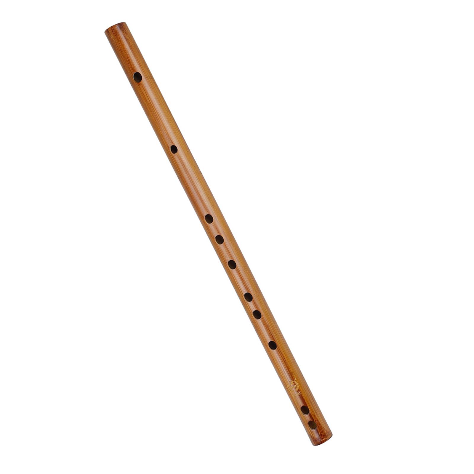 Unique Birthday Gift ,Indian W - Musical Instrument Theremin recension och pris
