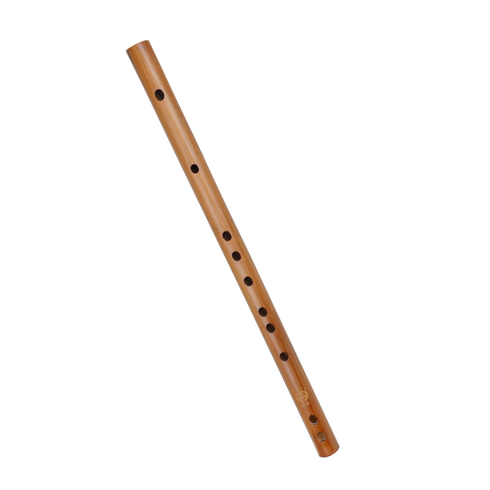 Unique Birthday Gift ,Indian W - Musical Instrument Theremin recension och pris